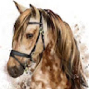 Meet your Posher, Abigail